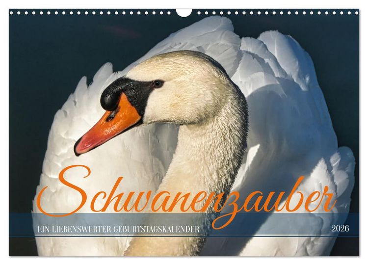 Produktbild: Schwanenzauber (Wandkalender 2026 DIN A3 quer), CALVENDO Monatskalender