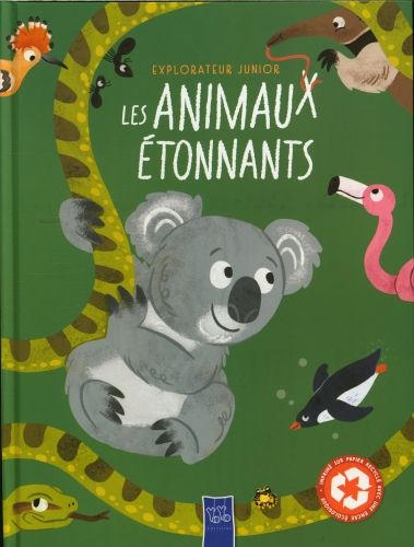 Produktbild: Les animaux &eacute;tonnants