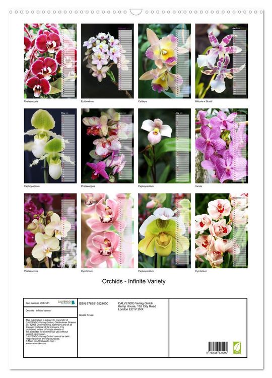 Produktbild: Orchids - Infinite Variety (Wall Calendar 2026 DIN A2 portrait), CALVENDO 12 Month Wall Calendar