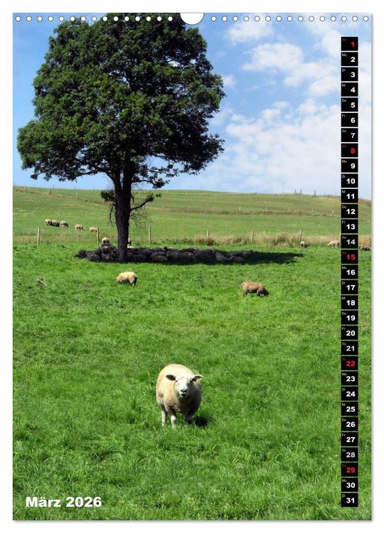 Produktbild: Traumhaftes Irland (Wandkalender 2026 DIN A3 hoch), CALVENDO Monatskalender