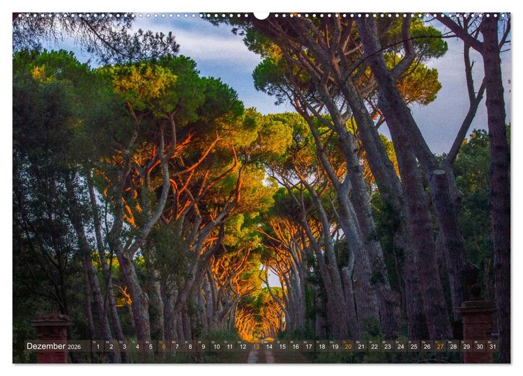 Produktbild: TOSKANA im magischen Licht (Wandkalender 2026 DIN A2 quer), CALVENDO Monatskalender