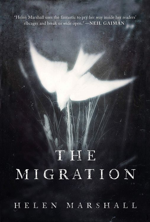 Produktbild: The Migration