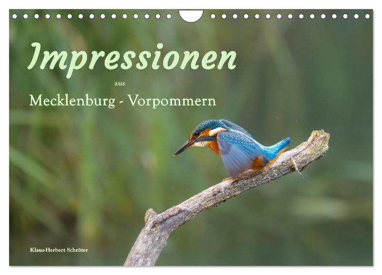 Produktbild: Impressionen aus Mecklenburg - Vorpommern (Wandkalender 2026 DIN A4 quer), CALVENDO Monatskalender