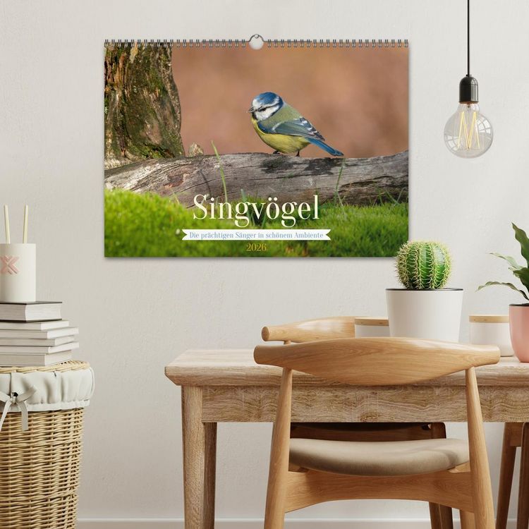 Produktbild: SINGV&Ouml;GEL - Die pr&auml;chtigen S&auml;nger in sch&ouml;nem Ambiente (Wandkalender 2026 DIN A3 quer), CALVENDO Monatskalender