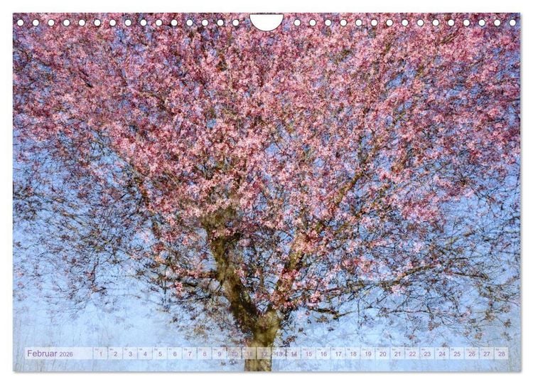 Produktbild: Vielfalt der B&auml;ume - variety of trees (Wandkalender 2026 DIN A4 quer), CALVENDO Monatskalender