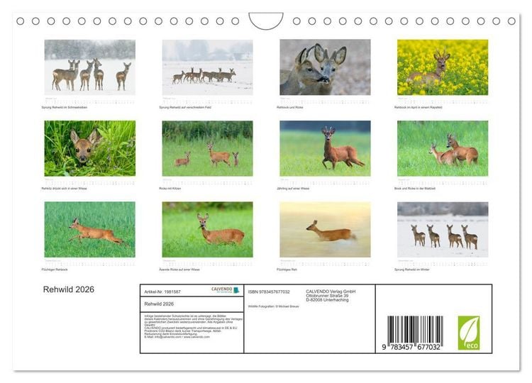 Produktbild: Rehwild 2026 (Wandkalender 2026 DIN A4 quer), CALVENDO Monatskalender