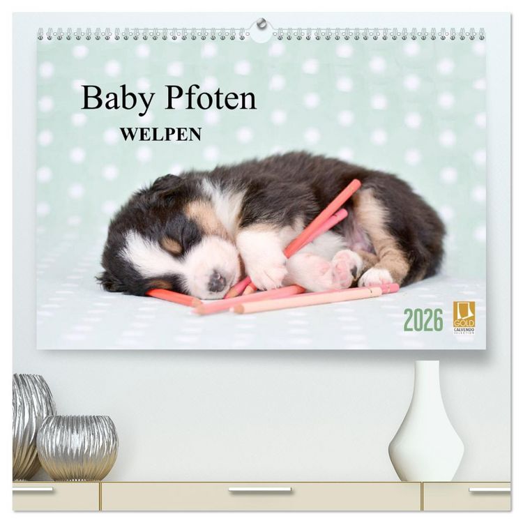 Produktbild: Baby Pfoten (hochwertiger Premium Wandkalender 2026 DIN A2 quer), Kunstdruck in Hochglanz