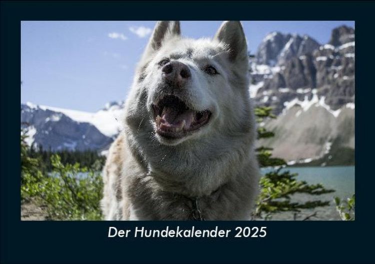 Produktbild: Der Hundekalender 2025 Fotokalender DIN A5