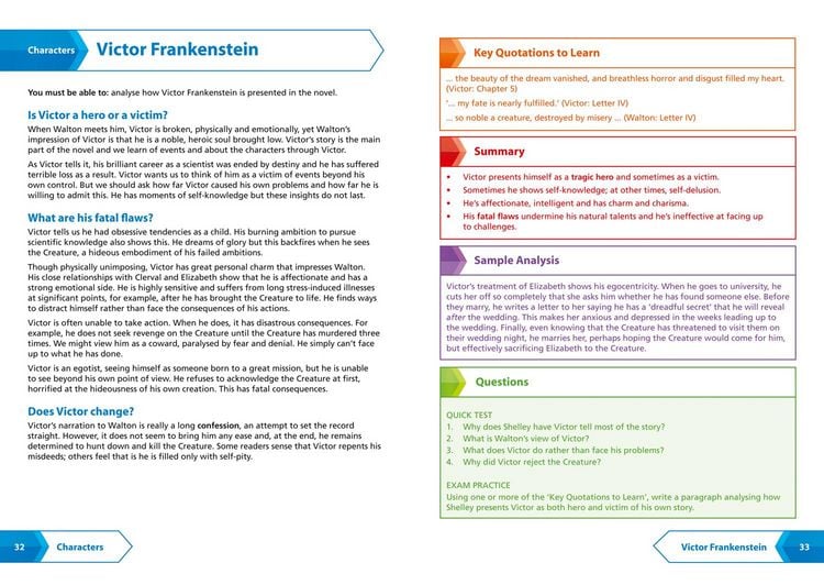 Produktbild: Frankenstein: AQA GCSE 9-1 English Literature Text Guide