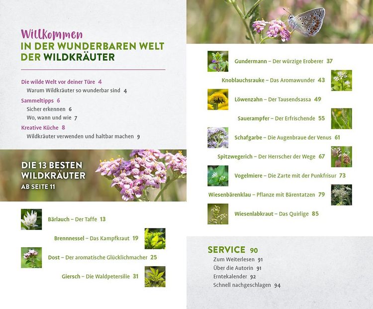 Produktbild: Wild und wunderbar: die 13 besten Wildkr&auml;uter
