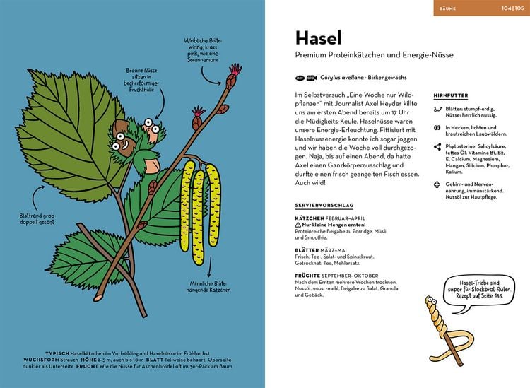 Produktbild: Wilde Pflanzen essen