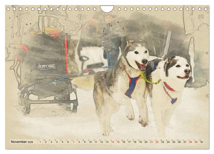 Produktbild: Schlittenhunde 2026 (Wandkalender 2026 DIN A4 quer), CALVENDO Monatskalender
