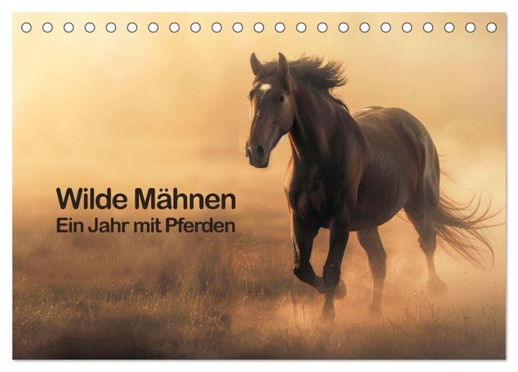 Produktbild: Wilde M&auml;hnen: Ein Jahr mit Pferden (Tischkalender 2026 DIN A5 quer), CALVENDO Monatskalender