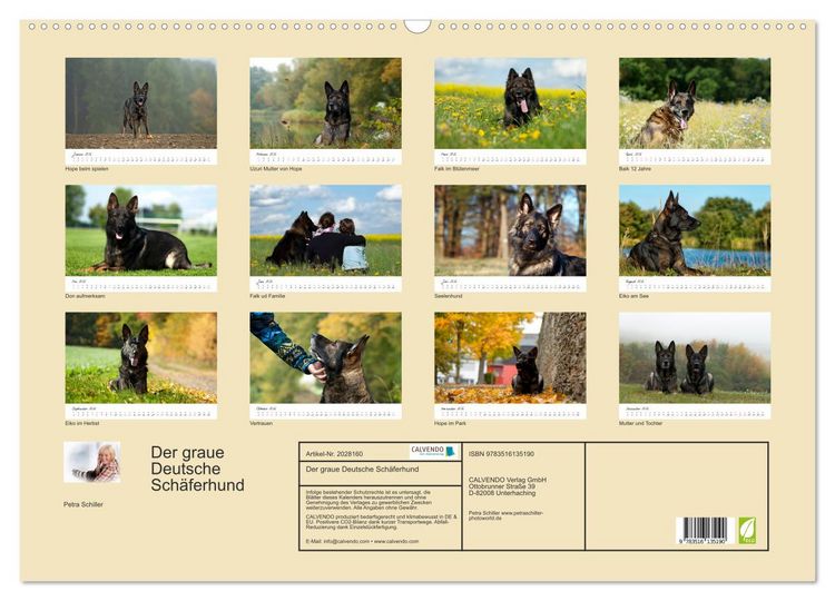 Produktbild: Der graue Deutsche Sch&auml;ferhund (Wandkalender 2026 DIN A2 quer), CALVENDO Monatskalender