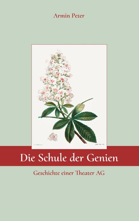 Produktbild: Die Schule der Genien