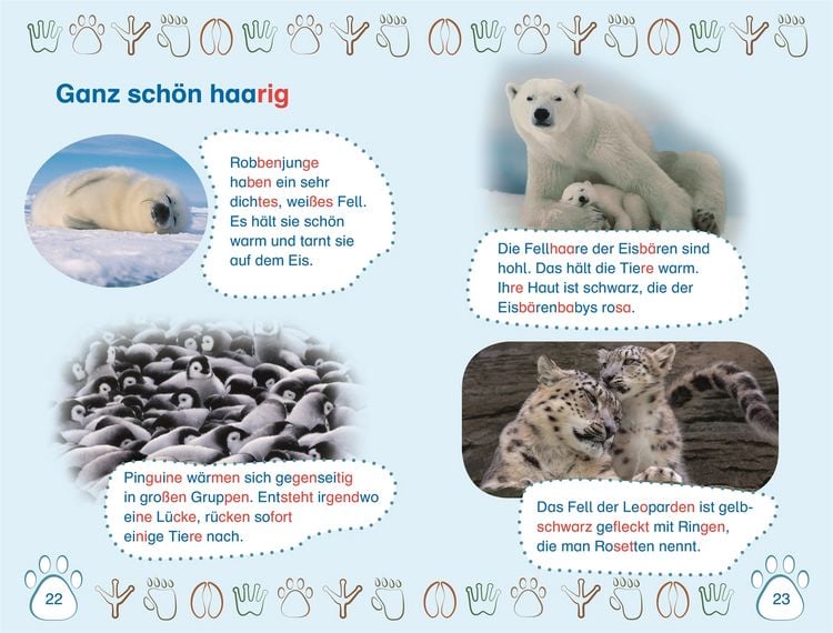 Produktbild: SUPERLESER! Nachwuchs bei uns im Zoo