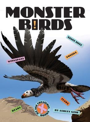 Produktbild: Monster Birds