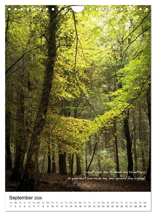 Produktbild: Rumi in Love (Wall Calendar 2026 DIN A4 portrait), CALVENDO 12 Month Wall Calendar