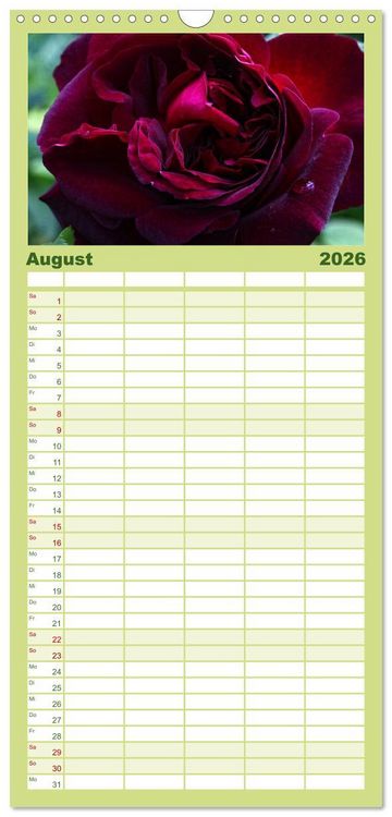 Produktbild: Familienplaner 2026 - Rosen Reigen im Garten mit 5 Spalten (Wandkalender, 21 x 45 cm) CALVENDO