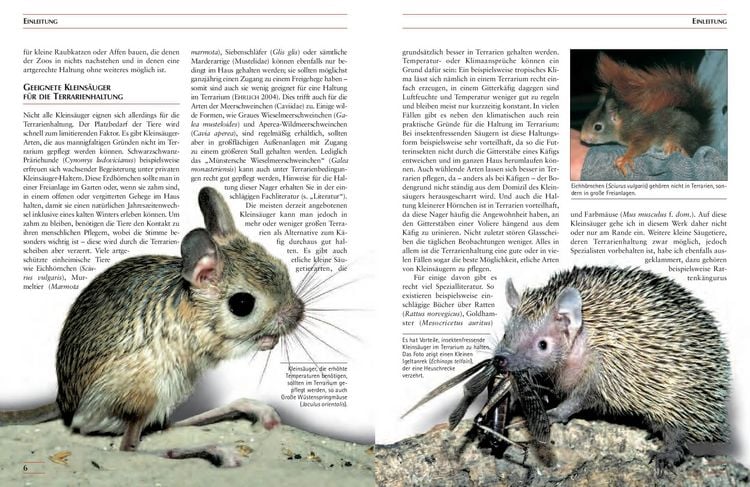 Produktbild: Kleins&auml;uger im Terrarium