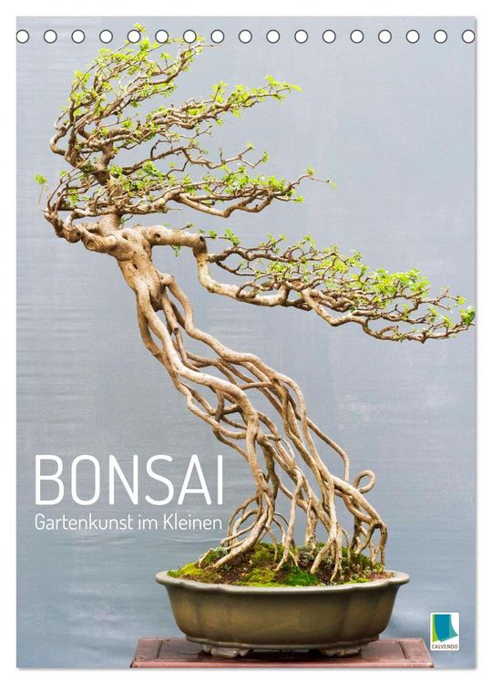 Produktbild: Bonsai: Gartenkunst im Kleinen (Tischkalender 2026 DIN A5 hoch), CALVENDO Monatskalender