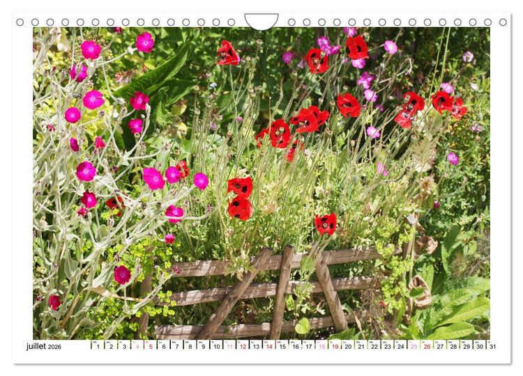 Produktbild: &Agrave; la cl&ocirc;ture du jardin (Calendrier mural 2026 DIN A4 vertical), CALVENDO calendrier mensuel