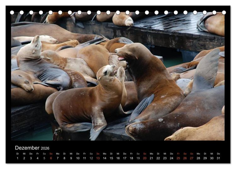 Produktbild: USA - Nordwesten (Tischkalender 2026 DIN A5 quer), CALVENDO Monatskalender