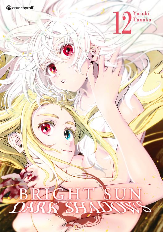 Produktbild: Bright Sun &ndash; Dark Shadows &ndash; Band 12