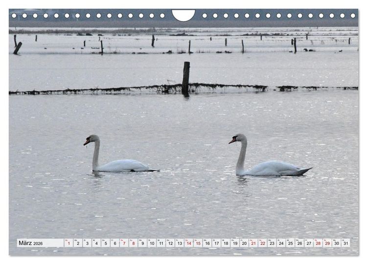 Produktbild: Hochwasser als Teil der Umwelt (Wandkalender 2026 DIN A4 quer), CALVENDO Monatskalender