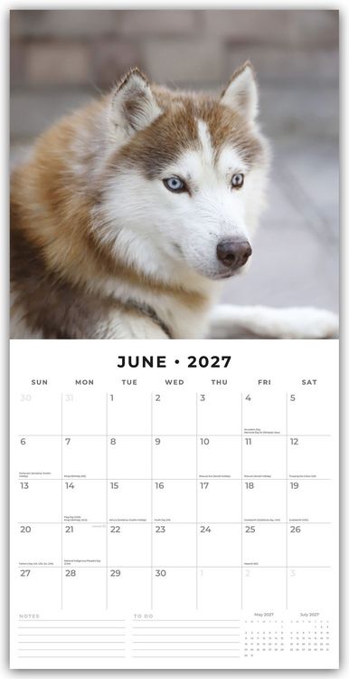 Produktbild: Siberian Huskies &ndash; Sibirischer Husky &ndash; Sibirische Huskys 2027 &ndash; 16-Monatskalender