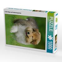 Produktbild: CALVENDO Puzzle Collie Welpe auf Entdeckungsreise 1000 Teile Lege-Gr&ouml;&szlig;e 48 x 64 cm Foto-Puzzle Bild von Sigrid Starick