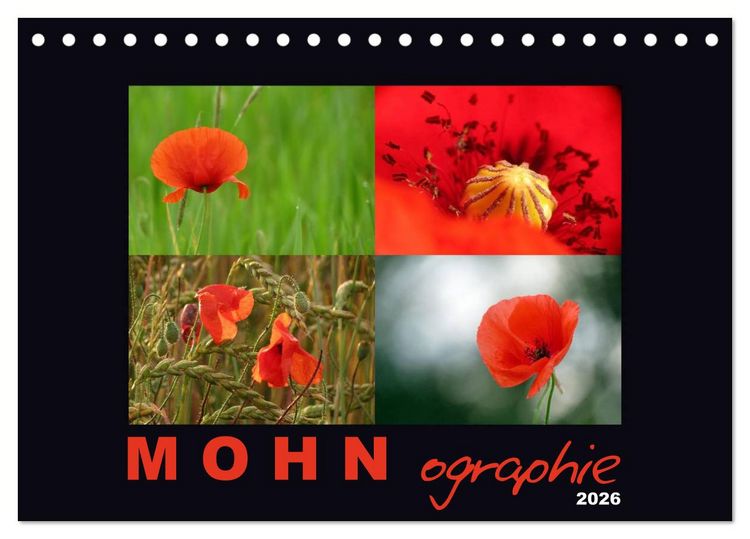 Produktbild: MOHNographie (Tischkalender 2026 DIN A5 quer), CALVENDO Monatskalender