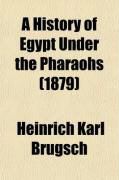 Produktbild: A History of Egypt Under the Pharaohs (Volume 1); Derived Entirely from the Monuments