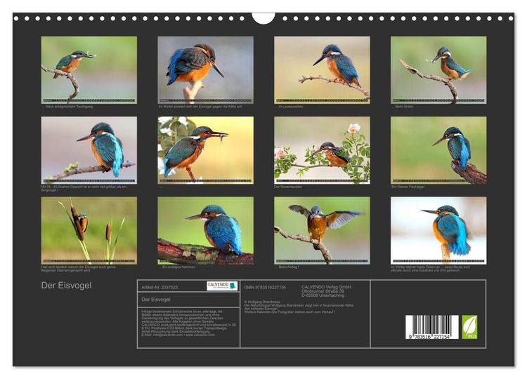 Produktbild: Der Eisvogel (Wandkalender 2026 DIN A3 quer), CALVENDO Monatskalender
