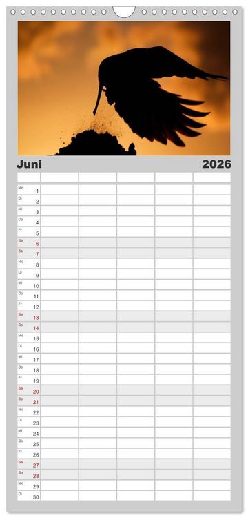 Produktbild: Familienplaner 2026 - Rabenschwarze Impressionen - meike-ajo-dettlaff.de via wildvogelhlfe.org mit 5 Spalten (Wandkalender, 21 x 45 cm) CALVENDO