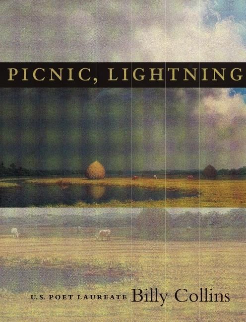 Produktbild: Picnic, Lightning