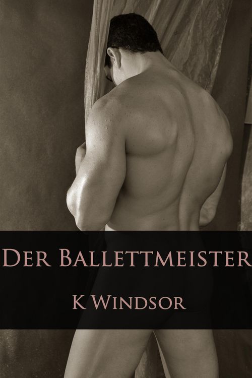 Produktbild: Der Ballettmeister: Eine erotische Gay Fantasie