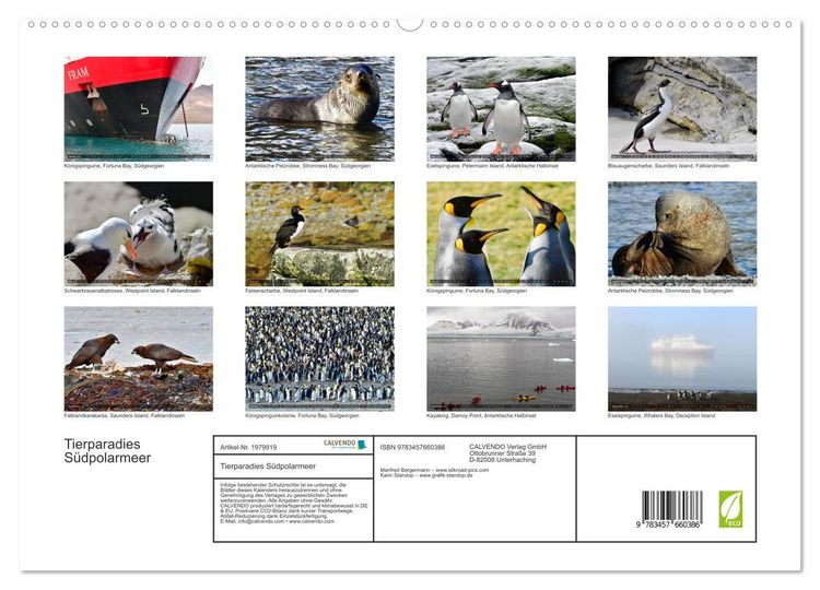 Produktbild: Tierparadies S&uuml;dpolarmeer (hochwertiger Premium Wandkalender 2026 DIN A2 quer), Kunstdruck in Hochglanz