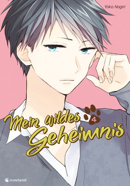 Produktbild: Mein wildes Geheimnis &ndash; Band 4 (Finale)