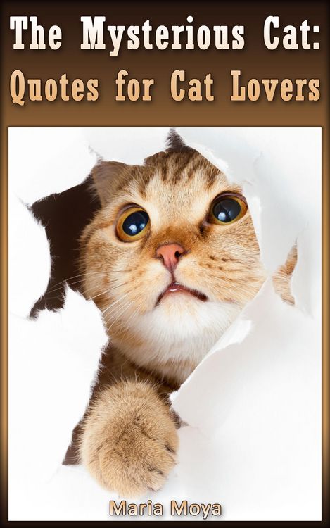 Produktbild: The Mysterious Cat