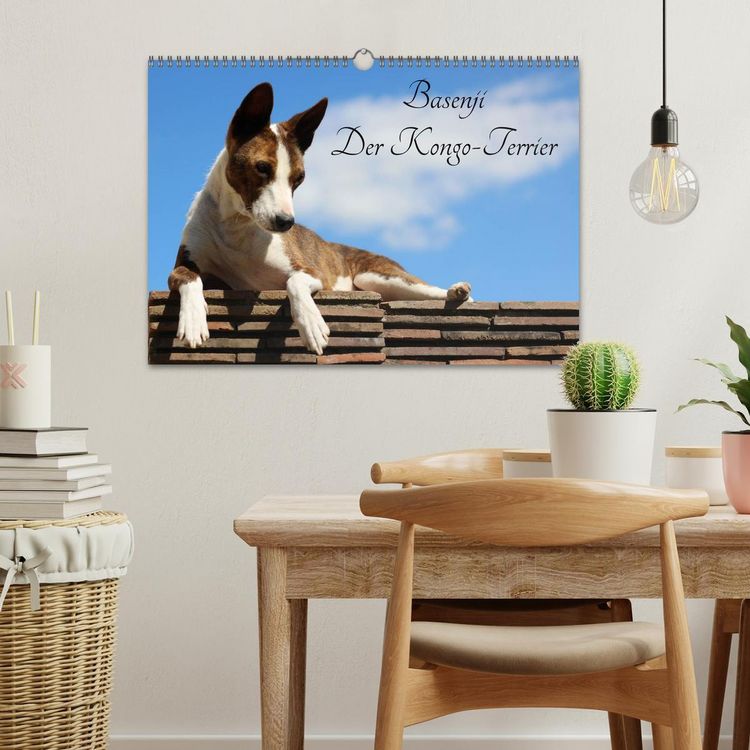 Produktbild: Basenji, der Kongo-Terrier (Wandkalender 2026 DIN A3 quer), CALVENDO Monatskalender