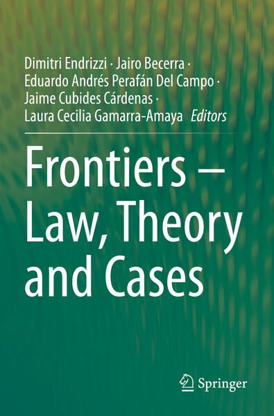 Produktbild: Frontiers &ndash; Law, Theory and Cases