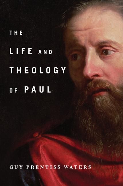 Produktbild: The Life and Theology of Paul