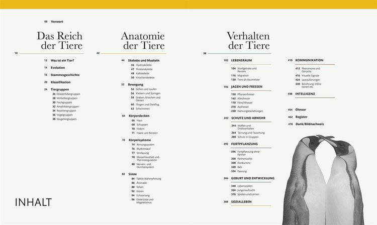 Produktbild: Tiere und ihr Verhalten