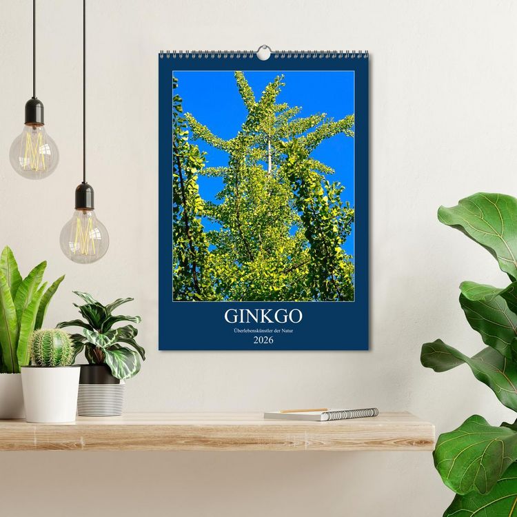 Produktbild: Ginkgo (Wandkalender 2026 DIN A3 hoch), CALVENDO Monatskalender
