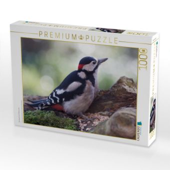 Produktbild: CALVENDO Puzzle Buntspecht auf Futtersuche | 1000 Teile Lege-Gr&ouml;&szlig;e 64x48cm Foto-Puzzle f&uuml;r gl&uuml;ckliche Stunden