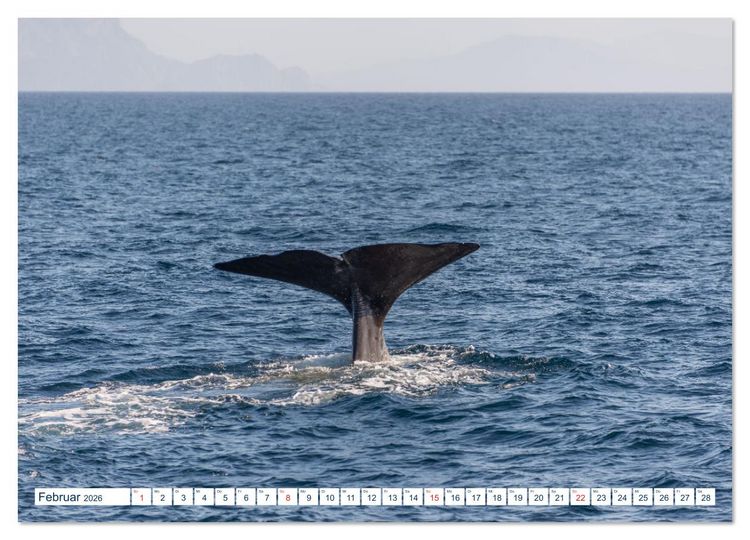Produktbild: Lofoten Vester&aring;len (hochwertiger Premium Wandkalender 2026 DIN A2 quer), Kunstdruck in Hochglanz