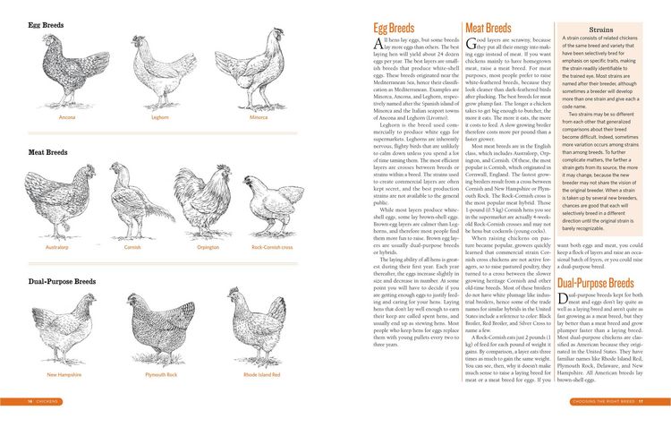 Produktbild: The Backyard Homestead Guide to Raising Farm Animals