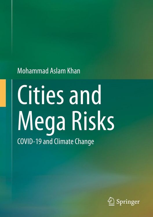 Produktbild: Cities and Mega Risks