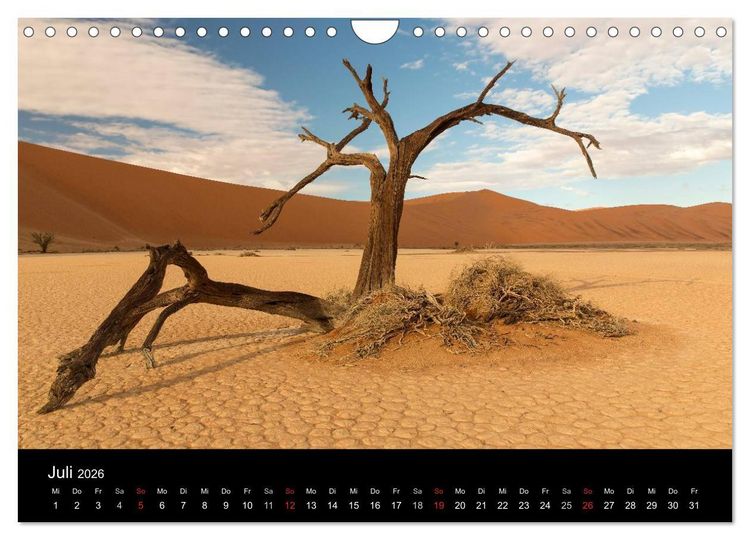 Produktbild: Lichterf&uuml;lltes Namibia (Wandkalender 2026 DIN A4 quer), CALVENDO Monatskalender